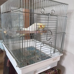 小さめの鳥カゴ