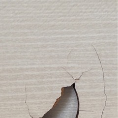 その傷、なおします