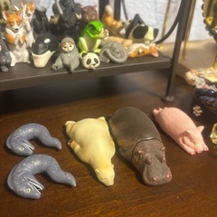 動物ガチャガチャの画像