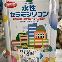 エスケー　水性セラミシリコン　ベージュ系 
