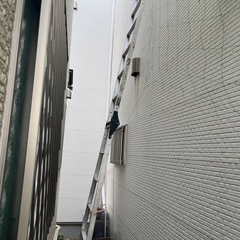 7尺脚立🪜の画像