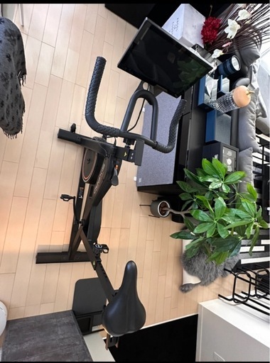 SIXPAD The Bike (シックスパッド　ザ バイク)トレーニングバイク