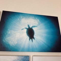 ikea アートパネル　海 の画像