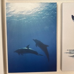 ikea アートパネル　海 の画像