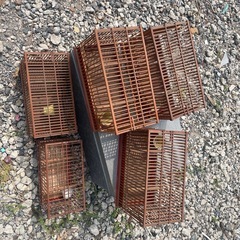 木製 鳥かごの画像