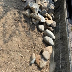 庭石
の画像