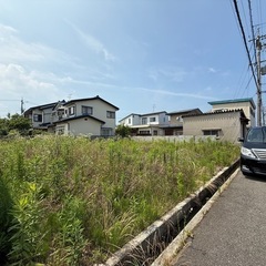 草むしり・草取り