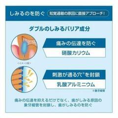 （2）連休限定お値下げ‼️2本セット‼️お買い得‼️【G・U・M歯磨き粉 】の画像