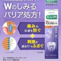 （2）連休限定お値下げ‼️2本セット‼️お買い得‼️【G・U・M歯磨き粉 】の画像