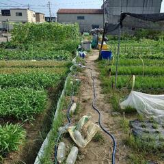 貸し農園（家庭菜園用）