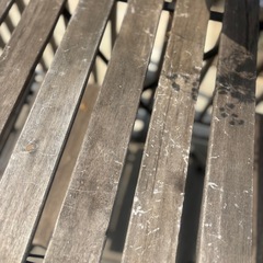 ガーデン　テーブル　チェアセットの画像