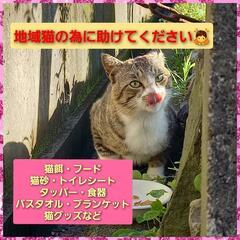 🐱地域猫.保護猫のために助けてください🙇