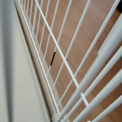 ペットゲージの画像