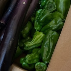 畑で採れたピーマン、長ナス、ししとう