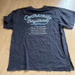 レディース Tシャツ サイズLの画像