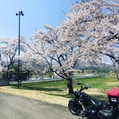 バイク仲間募集中