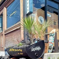 ドライガーデンプランター３点セット（植物込み）　レンタル可 - 山形市