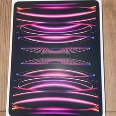 iPad Pro 12.9 (第6世代) 256GB Wi-Fi 空箱