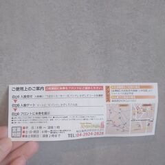 【岩盤浴 無料券】関東最大級のキングアンドクイーン温泉の画像