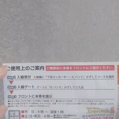 【岩盤浴 無料券】関東最大級のキングアンドクイーン温泉の画像