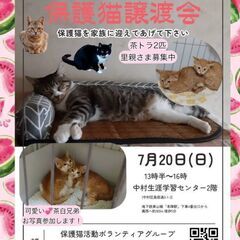 2025/7/20(日) 猫の譲渡会🐾名古屋市  中村区 …
