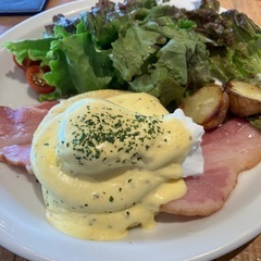 本日または明日ランチご一緒できる方！