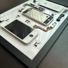 iPhone4 標本アート　の画像