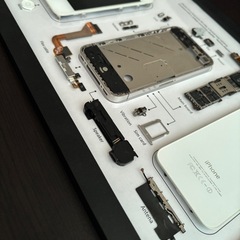 iPhone4 標本アート　の画像