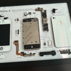 iPhone4 標本アート　
