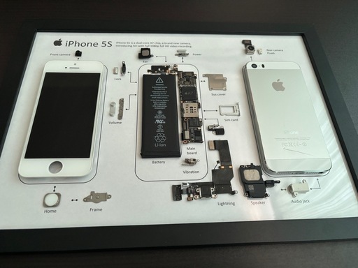 iPhone5s 標本アート