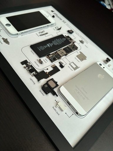 iPhone5s 標本アート