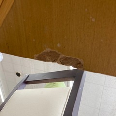 【ジモティー割引で最大15％OFF⭐️】 関家具 ダイニングテーブルの画像