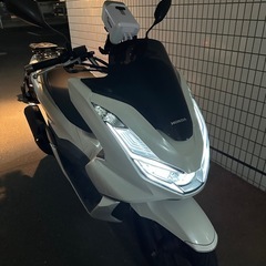 PCX JK05   の画像