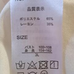 Tシャツ  3Lの画像