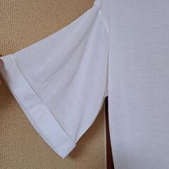 Tシャツ  3Lの画像