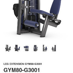 GYM80 レッグエクステンションの画像