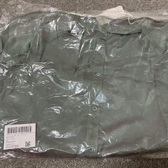 シアーシャンブレールーズシャツ　グリーンの画像