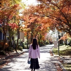 進学・進路・就職の相談アドバイスします