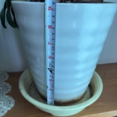陶器の鉢2個セットの画像