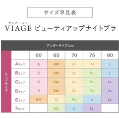 新品 未開封ヴィアージュブラエアーLサイズの画像