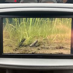 ☆車検R9年1月　コミコミ42.8万☆　シエンタ　両側パワスラ！の画像