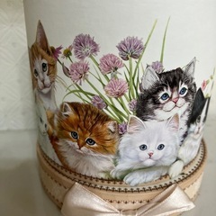 猫の箱の画像