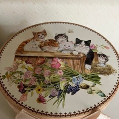 猫の箱の画像