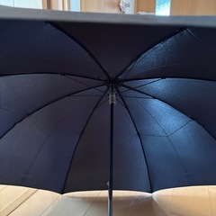 雨、晴れ兼用折りたたみ傘、ブラック、メンズの画像