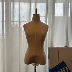 トルソー　女性