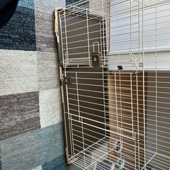 犬小屋　コーナンで購入　二部屋に分かれるの画像
