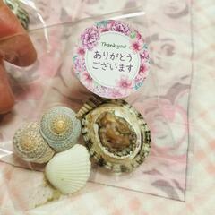癒し効果☆開運☆お清め開運砂と海の貝殻　開運シールおまけ付き☆の画像