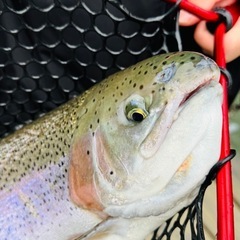 釣りに行ってみませんか🎣🙌🏻