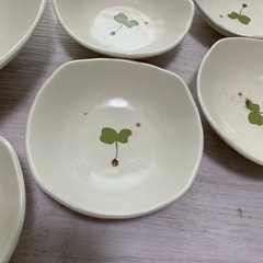5【未使用】スプラウトサラダセットの画像