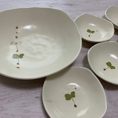 5【未使用】スプラウトサラダセット